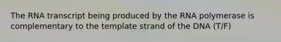 The RNA transcript being produced by the RNA polymerase is complementary to the template strand of the DNA (T/F)