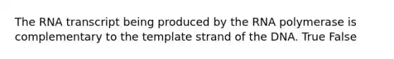 The RNA transcript being produced by the RNA polymerase is complementary to the template strand of the DNA. True False