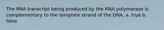 The RNA transcript being produced by the RNA polymerase is complementary to the template strand of the DNA. a. true b. false