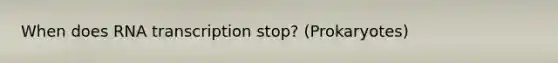 When does RNA transcription stop? (Prokaryotes)