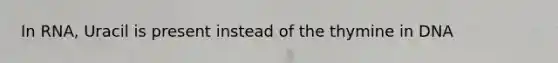 In RNA, Uracil is present instead of the thymine in DNA