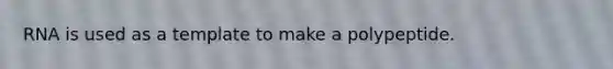 RNA is used as a template to make a polypeptide.