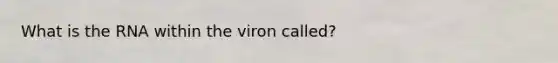 What is the RNA within the viron called?