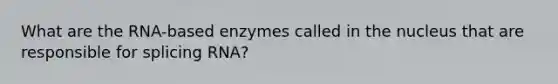 What are the RNA-based enzymes called in the nucleus that are responsible for splicing RNA?