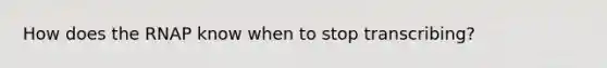 How does the RNAP know when to stop transcribing?