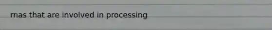 rnas that are involved in processing