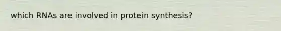 which RNAs are involved in protein synthesis?