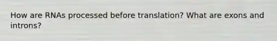 How are RNAs processed before translation? What are exons and introns?