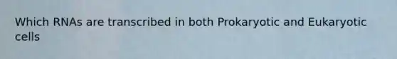 Which RNAs are transcribed in both Prokaryotic and Eukaryotic cells
