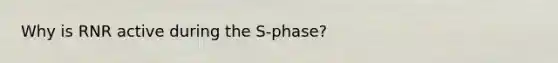 Why is RNR active during the S-phase?