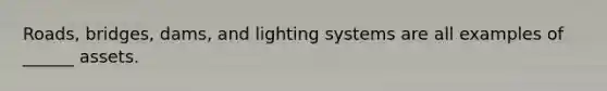 Roads, bridges, dams, and lighting systems are all examples of ______ assets.