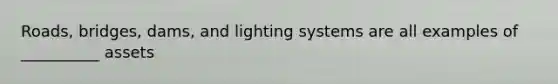 Roads, bridges, dams, and lighting systems are all examples of __________ assets