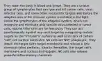 They roam the body in blood and lymph. They are a unique group of lymphocytes that can lyse and kill cancer cells, virus-infected cells, and some other nonspecific targets well before the adaptive arm of the immune system is enlisted in the fight. Unlike the lymphocytes of the adaptive system, which can recognize and eliminate only specific virus-infected or tumor cells, natural killer cells are far less picky. They can act spontaneously against any such target by recognizing certain sugars on the "intruder's" surface as well as its lack of certain "self" cell surface molecules. NK cells are NOT phagocytic. They attack the target cell's target membrane and release a lytic chemical called perforins. Shortly thereafter, the target cell's membrane and nucleus disintegrate. NK cells also release powerful inflammatory chemicals