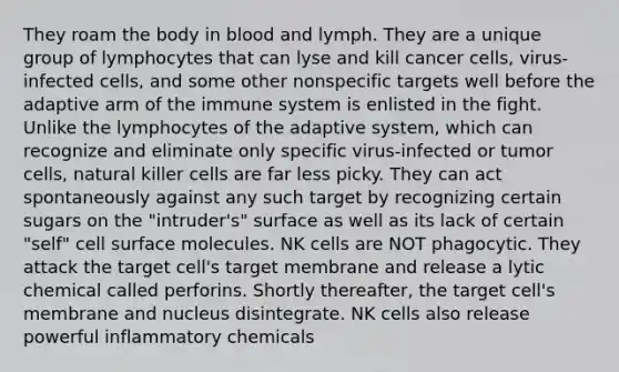 They roam the body in blood and lymph. They are a unique group of lymphocytes that can lyse and kill cancer cells, virus-infected cells, and some other nonspecific targets well before the adaptive arm of the immune system is enlisted in the fight. Unlike the lymphocytes of the adaptive system, which can recognize and eliminate only specific virus-infected or tumor cells, natural killer cells are far less picky. They can act spontaneously against any such target by recognizing certain sugars on the "intruder's" surface as well as its lack of certain "self" cell surface molecules. NK cells are NOT phagocytic. They attack the target cell's target membrane and release a lytic chemical called perforins. Shortly thereafter, the target cell's membrane and nucleus disintegrate. NK cells also release powerful inflammatory chemicals