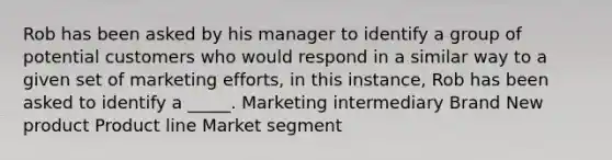 Rob has been asked by his manager to identify a group of potential customers who would respond in a similar way to a given set of marketing efforts, in this instance, Rob has been asked to identify a _____. Marketing intermediary Brand New product Product line Market segment