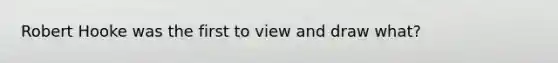 Robert Hooke was the first to view and draw what?