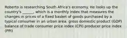 Roberto is researching South Africa's economy. He looks up the country's ______, which is a monthly index that measures the changes in prices of a fixed basket of goods purchased by a typical consumer in an urban area. gross domestic product (GDP) balance of trade consumer price index (CPI) producer price index (PPI)