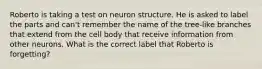 Roberto is taking a test on neuron structure. He is asked to label the parts and can't remember the name of the tree-like branches that extend from the cell body that receive information from other neurons. What is the correct label that Roberto is forgetting?