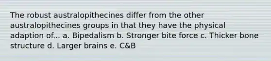 The robust australopithecines differ from the other australopithecines groups in that they have the physical adaption of... a. Bipedalism b. Stronger bite force c. Thicker bone structure d. Larger brains e. C&B