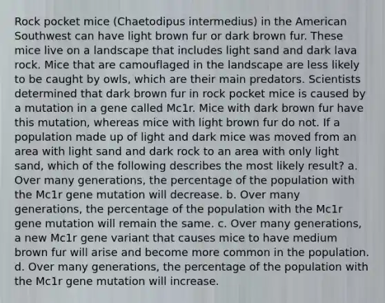 Rock pocket mice (Chaetodipus intermedius) in the American Southwest can have light brown fur or dark brown fur. These mice live on a landscape that includes light sand and dark lava rock. Mice that are camouflaged in the landscape are less likely to be caught by owls, which are their main predators. Scientists determined that dark brown fur in rock pocket mice is caused by a mutation in a gene called Mc1r. Mice with dark brown fur have this mutation, whereas mice with light brown fur do not. If a population made up of light and dark mice was moved from an area with light sand and dark rock to an area with only light sand, which of the following describes the most likely result? a. Over many generations, the percentage of the population with the Mc1r gene mutation will decrease. b. Over many generations, the percentage of the population with the Mc1r gene mutation will remain the same. c. Over many generations, a new Mc1r gene variant that causes mice to have medium brown fur will arise and become more common in the population. d. Over many generations, the percentage of the population with the Mc1r gene mutation will increase.