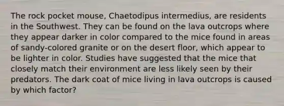 The rock pocket mouse, Chaetodipus intermedius, are residents in the Southwest. They can be found on the lava outcrops where they appear darker in color compared to the mice found in areas of sandy-colored granite or on the desert floor, which appear to be lighter in color. Studies have suggested that the mice that closely match their environment are less likely seen by their predators. The dark coat of mice living in lava outcrops is caused by which factor?