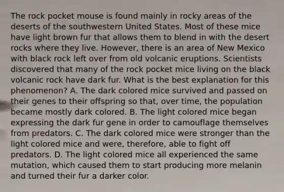 The rock pocket mouse is found mainly in rocky areas of the deserts of the southwestern United States. Most of these mice have light brown fur that allows them to blend in with the desert rocks where they live. However, there is an area of New Mexico with black rock left over from old volcanic eruptions. Scientists discovered that many of the rock pocket mice living on the black volcanic rock have dark fur. What is the best explanation for this phenomenon? A. The dark colored mice survived and passed on their genes to their offspring so that, over time, the population became mostly dark colored. B. The light colored mice began expressing the dark fur gene in order to camouflage themselves from predators. C. The dark colored mice were stronger than the light colored mice and were, therefore, able to fight off predators. D. The light colored mice all experienced the same mutation, which caused them to start producing more melanin and turned their fur a darker color.