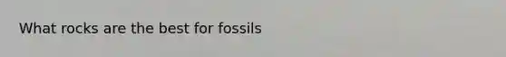 What rocks are the best for fossils