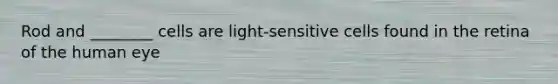 Rod and ________ cells are light-sensitive cells found in the retina of the human eye