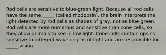 Rod cells are sensitive to blue-green light. Because all rod cells have the same _____ (called rhodopsin), the brain interprets the light detected by rod cells as shades of gray, not as blue-green. Rod cells are more numerous and sensitive than cone cells, so they allow animals to see in low light. Cone cells contain opsins sensitive to different wavelengths of light and are responsible for _____ vision.