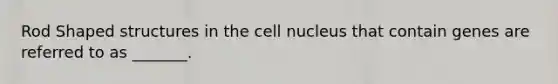 Rod Shaped structures in the cell nucleus that contain genes are referred to as _______.