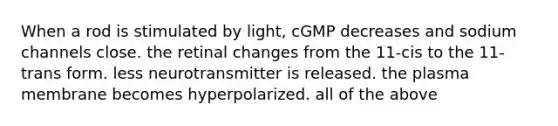 When a rod is stimulated by light, cGMP decreases and sodium channels close. the retinal changes from the 11-cis to the 11-trans form. less neurotransmitter is released. the plasma membrane becomes hyperpolarized. all of the above