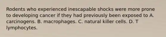 Rodents who experienced inescapable shocks were more prone to developing cancer if they had previously been exposed to A. carcinogens. B. macrophages. C. natural killer cells. D. T lymphocytes.