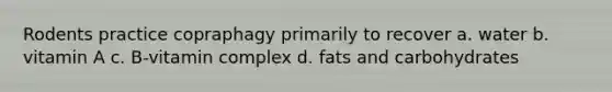 Rodents practice copraphagy primarily to recover a. water b. vitamin A c. B-vitamin complex d. fats and carbohydrates