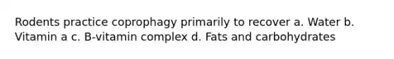 Rodents practice coprophagy primarily to recover a. Water b. Vitamin a c. B-vitamin complex d. Fats and carbohydrates