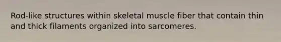 Rod-like structures within skeletal muscle fiber that contain thin and thick filaments organized into sarcomeres.