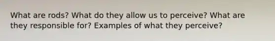 What are rods? What do they allow us to perceive? What are they responsible for? Examples of what they perceive?