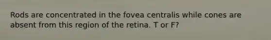 Rods are concentrated in the fovea centralis while cones are absent from this region of the retina. T or F?