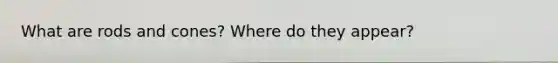 What are rods and cones? Where do they appear?