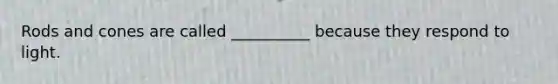 Rods and cones are called __________ because they respond to light.