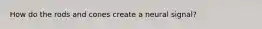 How do the rods and cones create a neural signal?