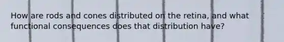 How are rods and cones distributed on the retina, and what functional consequences does that distribution have?