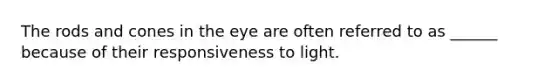 The rods and cones in the eye are often referred to as ______ because of their responsiveness to light.