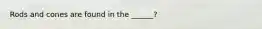 Rods and cones are found in the ______?