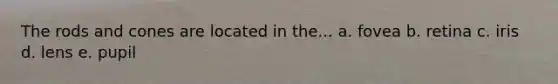 The rods and cones are located in the... a. fovea b. retina c. iris d. lens e. pupil