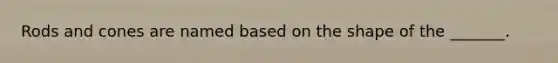 Rods and cones are named based on the shape of the _______.