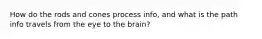 How do the rods and cones process info, and what is the path info travels from the eye to the brain?