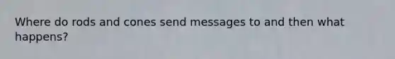 Where do rods and cones send messages to and then what happens?