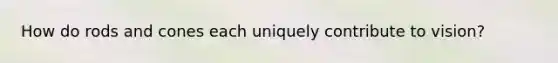 How do rods and cones each uniquely contribute to vision?