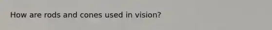 How are rods and cones used in vision?