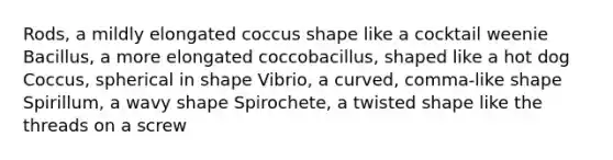 Rods, a mildly elongated coccus shape like a cocktail weenie Bacillus, a more elongated coccobacillus, shaped like a hot dog Coccus, spherical in shape Vibrio, a curved, comma-like shape Spirillum, a wavy shape Spirochete, a twisted shape like the threads on a screw